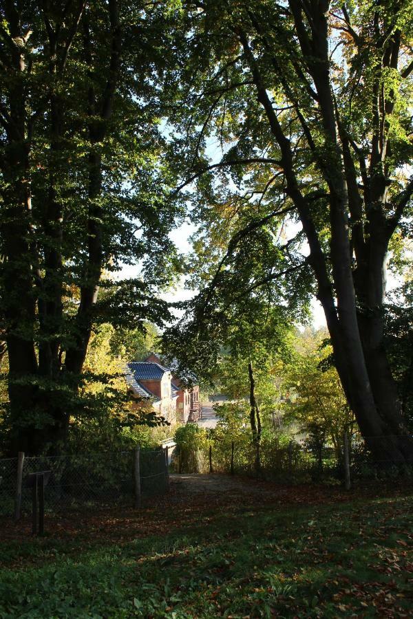 Ferienwohnung Sulkendrup Molle Nyborg Exterior foto
